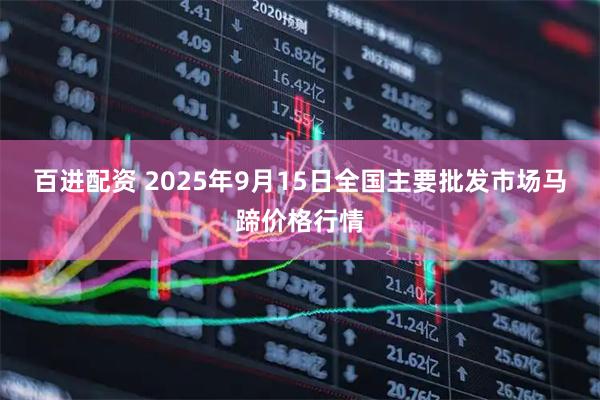 百进配资 2025年9月15日全国主要批发市场马蹄价格行情