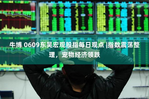 牛博 0609东吴宏观股指每日观点 |指数震荡整理，宠物经济领跌