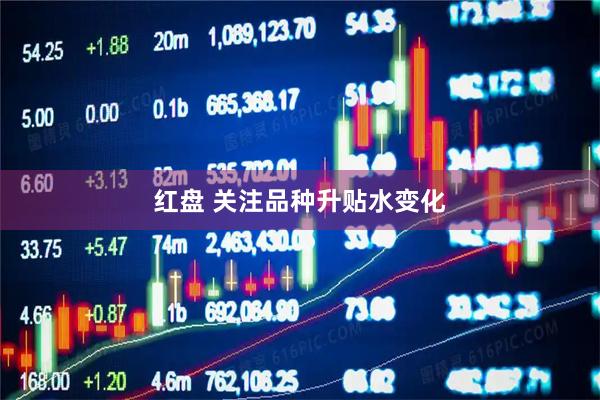 红盘 关注品种升贴水变化